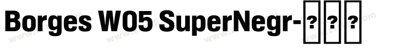 Borges W05 SuperNegr字体转换 Borges W05 SuperNegr字体转换